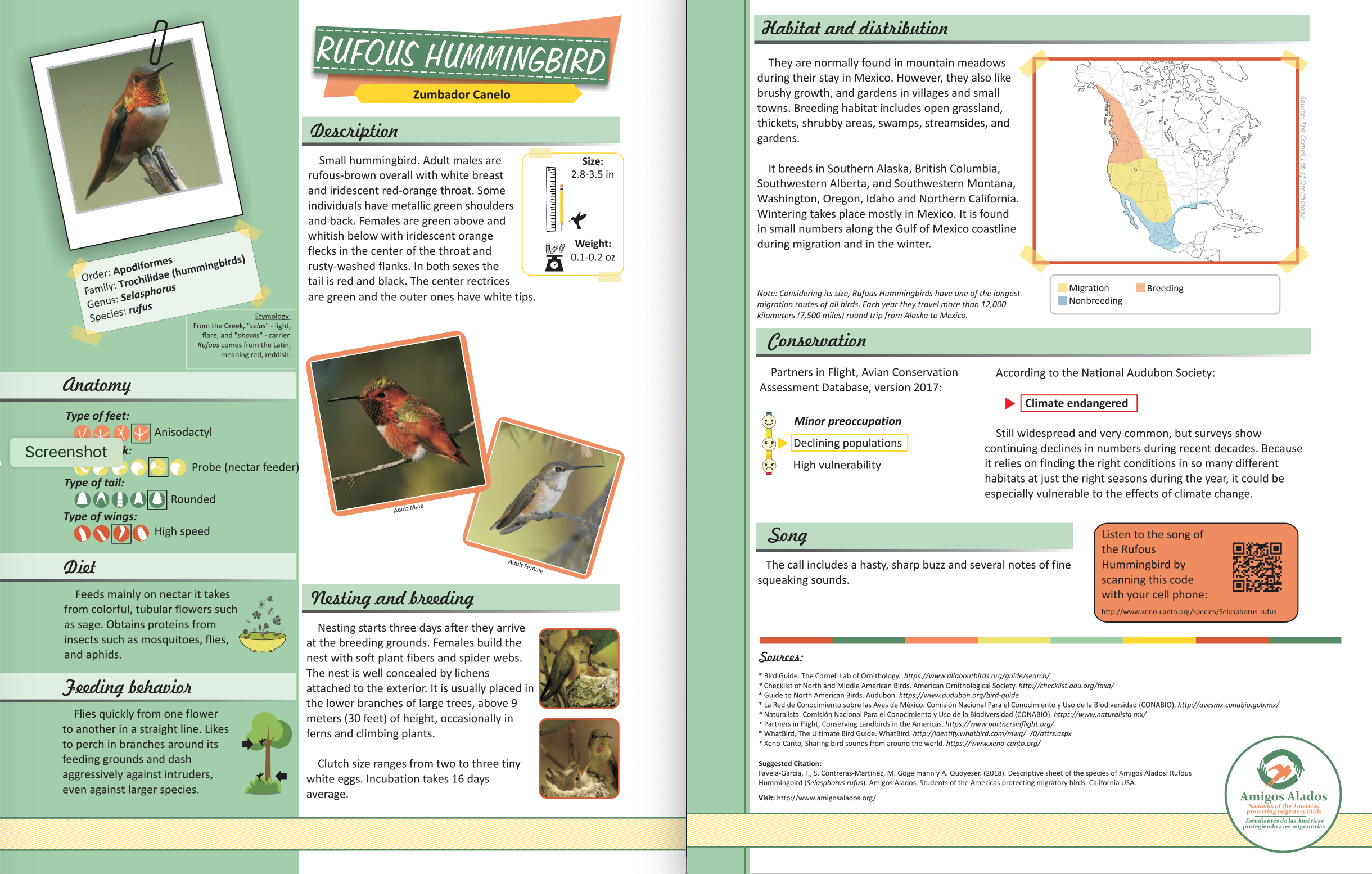 Bird Information Cards/Fichas de Informacion de Aves